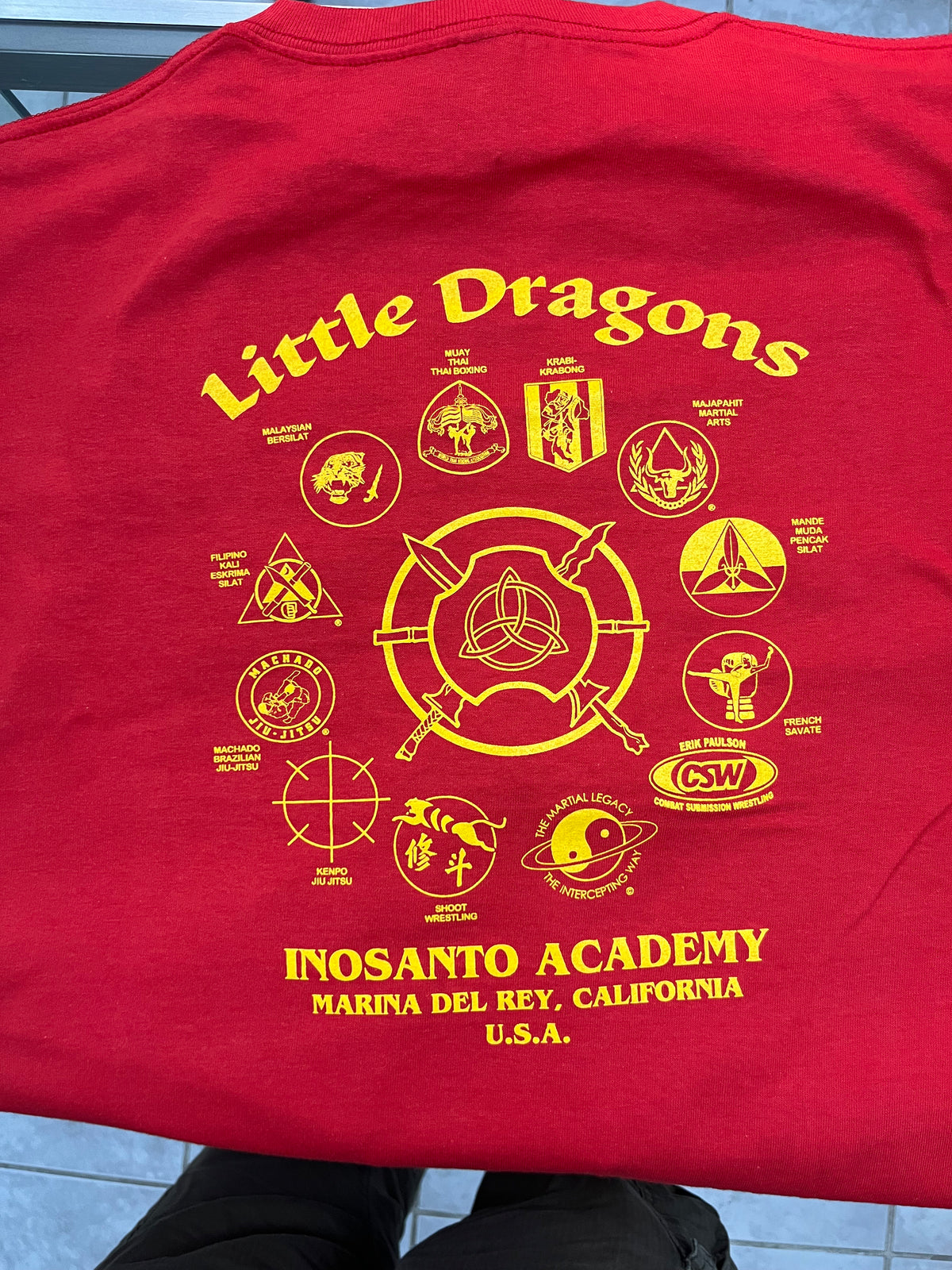 Hoodie - Little Dragons Zip Hoodie -Kids